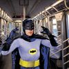 Video: Lost Bat Rides The F Train Like A Bat Out Of Hell (Hell, In This Case, Is The Subway)